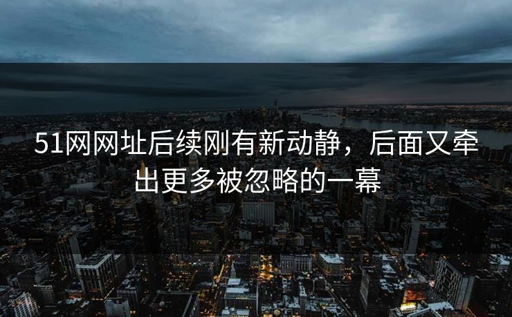 51网网址后续刚有新动静，后面又牵出更多被忽略的一幕