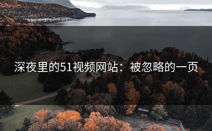 深夜里的51视频网站：被忽略的一页