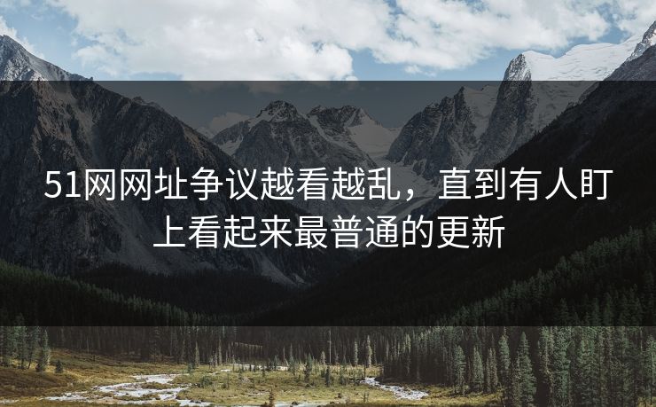 51网网址争议越看越乱，直到有人盯上看起来最普通的更新
