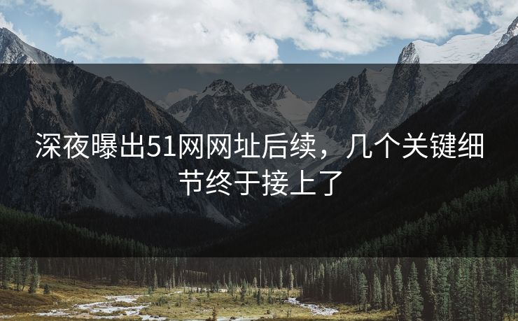 深夜曝出51网网址后续，几个关键细节终于接上了